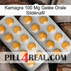 Kamagra 100 Mg Gelée Orale Sildénafil levitra2